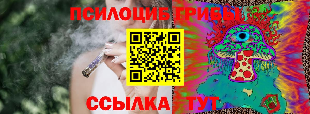Новокуйбышевск  Псилоцибиновые грибы ЛСД  Вход с VPN 